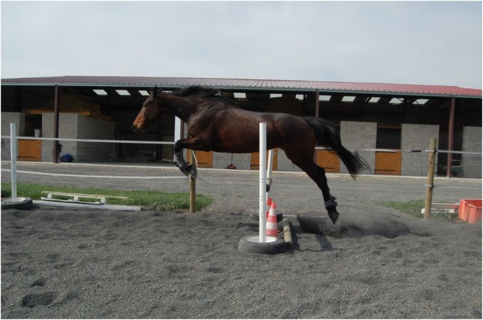 3me sance de sauts en libert !