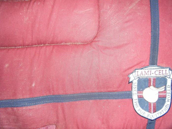 lamicell taille cob 35 euros TB �tat