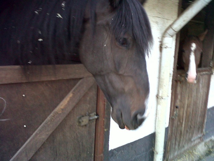 Quinine :)