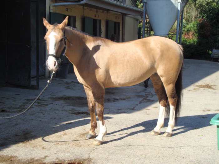 A nouveau Almendra que je trouve magnifique!