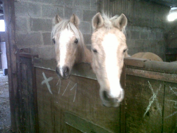 Poly & Coquine :)