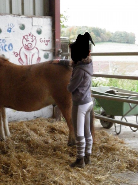 Dos de mon poney