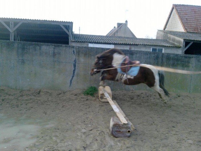 ma ponette ShRRie en cour!!