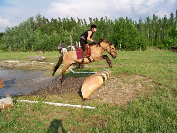 Sur le cross