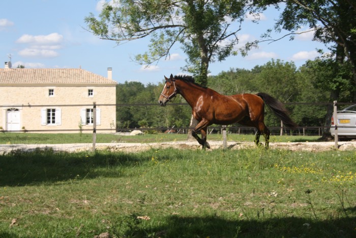 frisby de semily a la retraite 18 ans