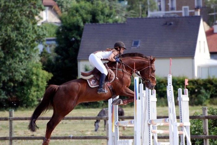 mon loulou sur les barres