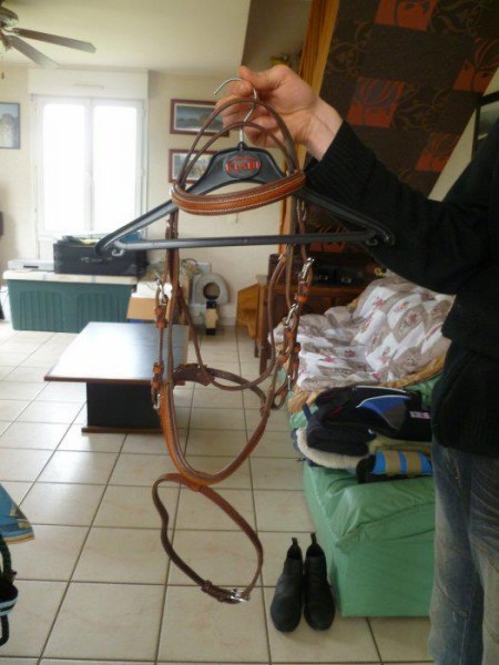 Filet + Rne Taille : Poney Marque : Norton A vendre : 30