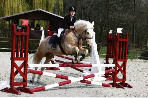 Hercule de Cysoing - Club 2