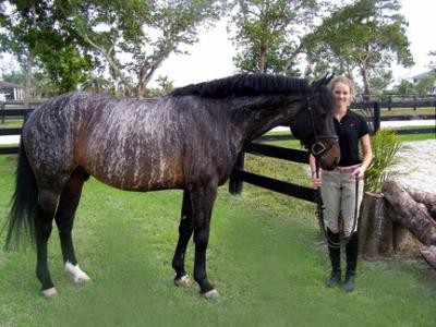 Cheval robe rare sale