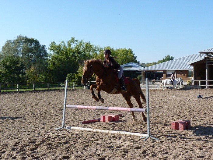 Nutella & moi, cours saut (80cm)