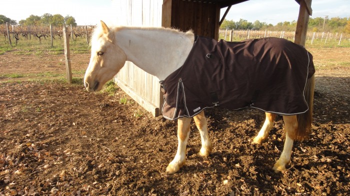 chemise de marcheur fouganza