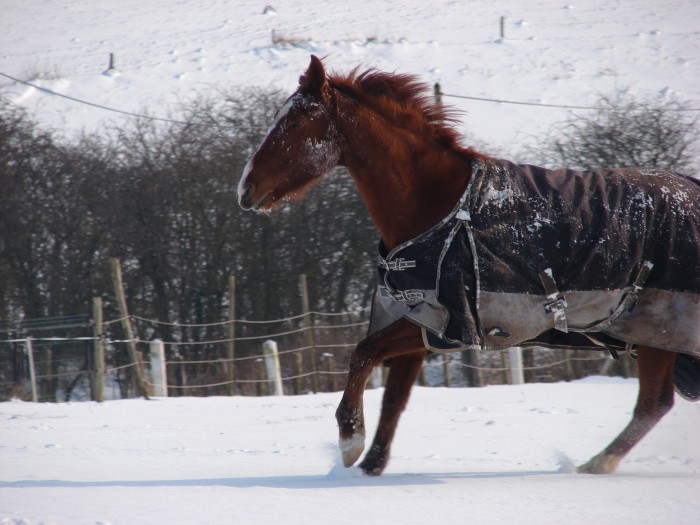 un petit galop pour se rchauffer