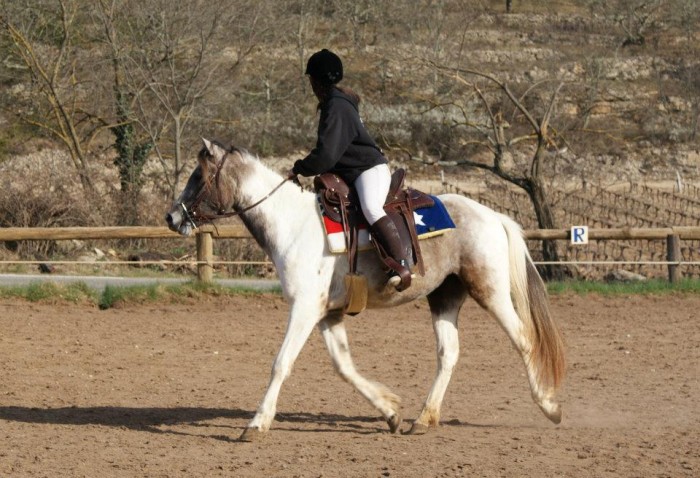 trot sur un cercle 