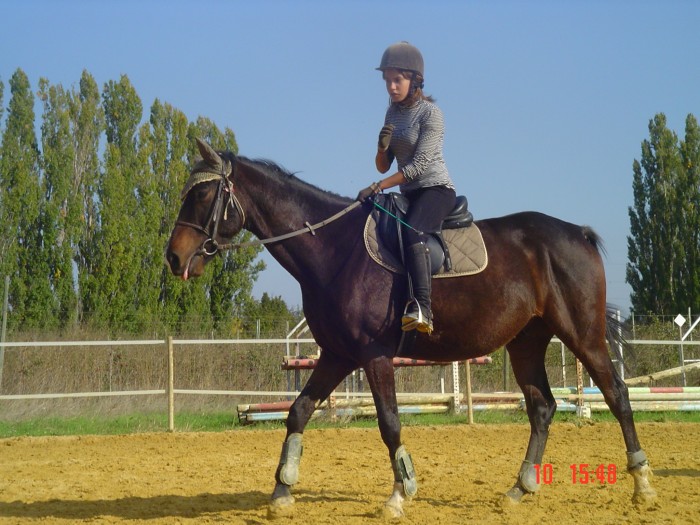 Prince(cheval de club) ann�e 2010