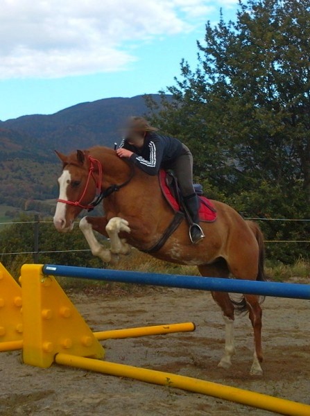 Cours de galop 2, pour un niveau plus élevé