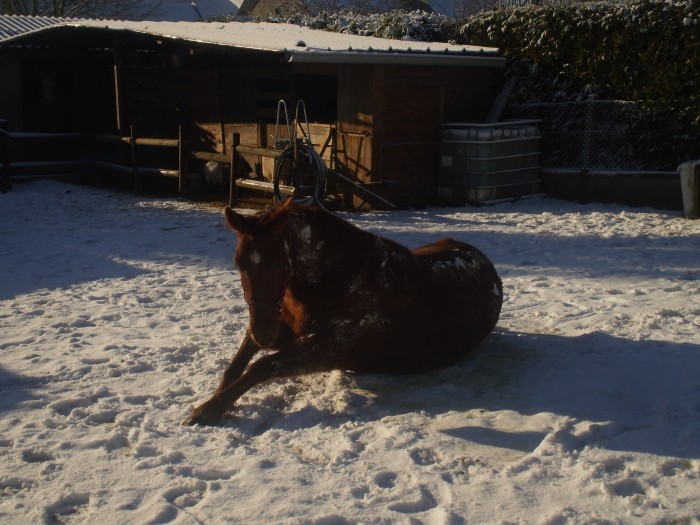 C trop bien la neige!