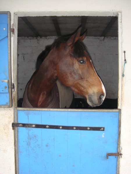 trop beau le loulou !!