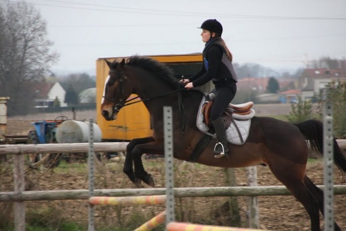 Odin et moi preuve 80cm