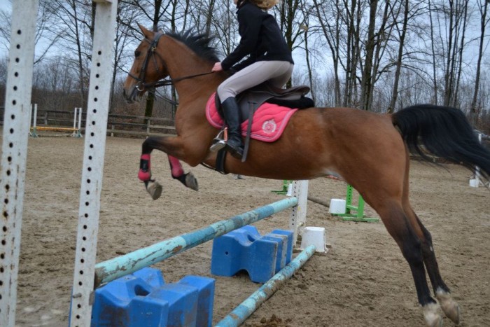 Jument qui vends du rve, mme si elle est speed... Naska. <3