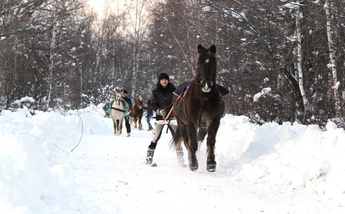 Ski joering a Serre chevalier, avec le centre equestre Cavalcad