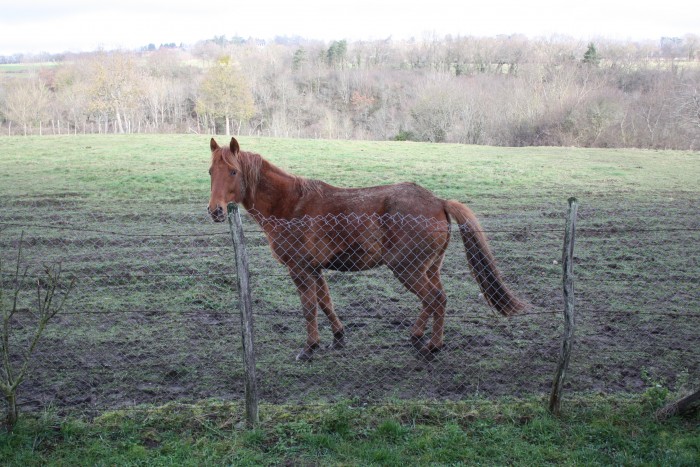 Au pr� la vie est belle.