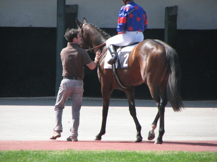 Le 1er avril 2012 aux courses