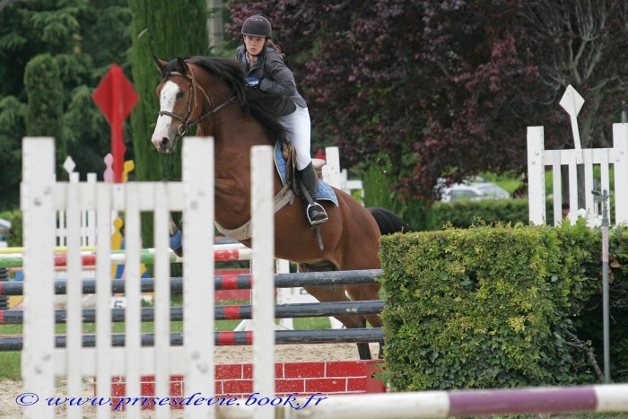 Haras d'Uz�s.