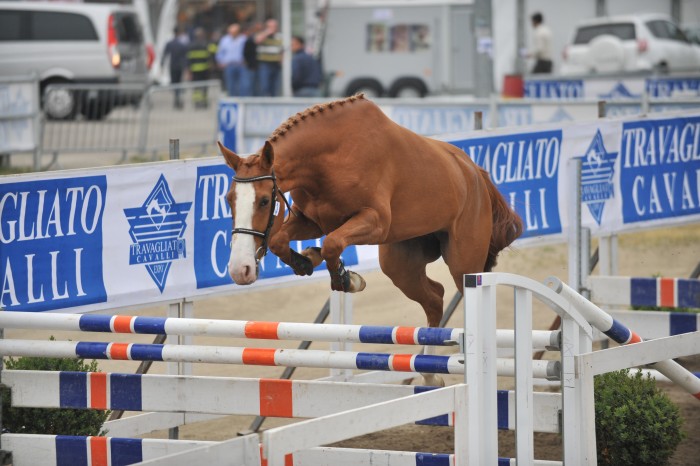 Lady cracotte par : Quaprice et Galoubet A