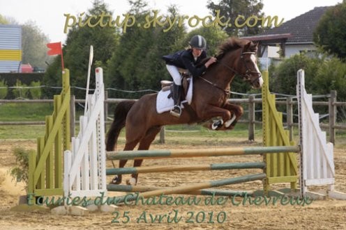 Moi & pegase <3  60cm