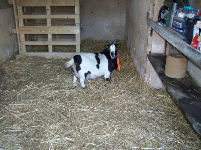 Sa box. Il la partage avec la biquette. 