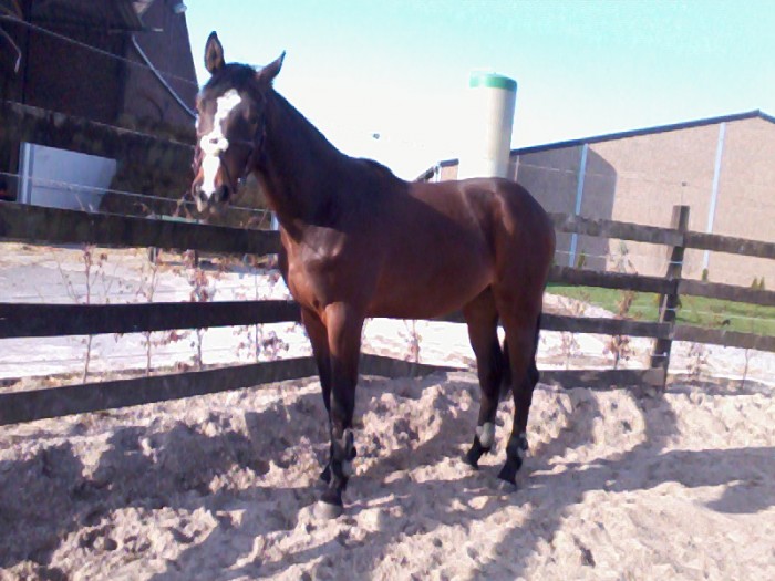 mon pt Edouard  2 ans ...