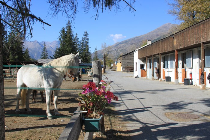Centre equestre cavalcade serre chevalier - Club Hippique