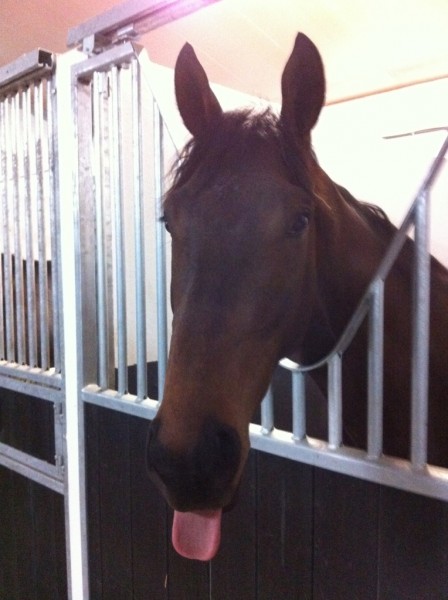 Doll's Hope tire la langue