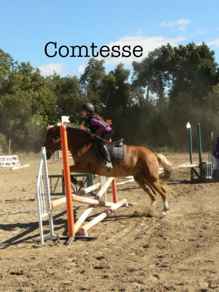 Comtesse <3