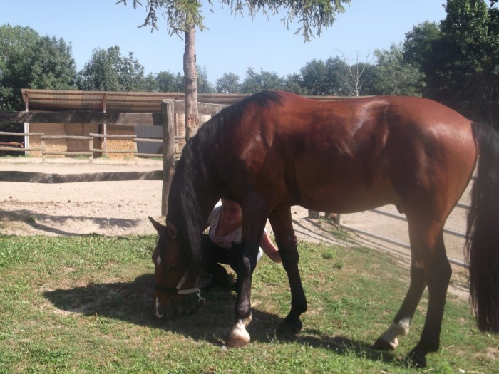 je verifie les menbre pour m assur� que tous va bien <3 =^)