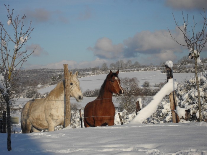 cet hiver