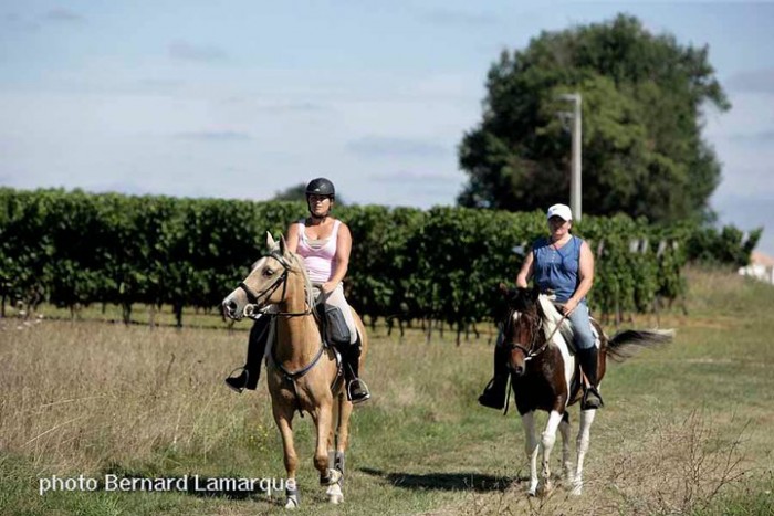 EQUIGIRONDE 2011 AVEC NICO