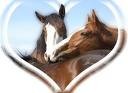 Belle amour non