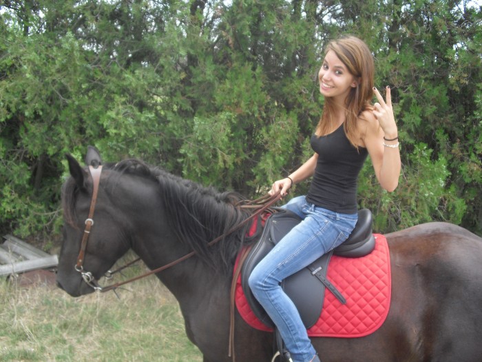 Taoura(cheval de proprietaire) �t� 2011