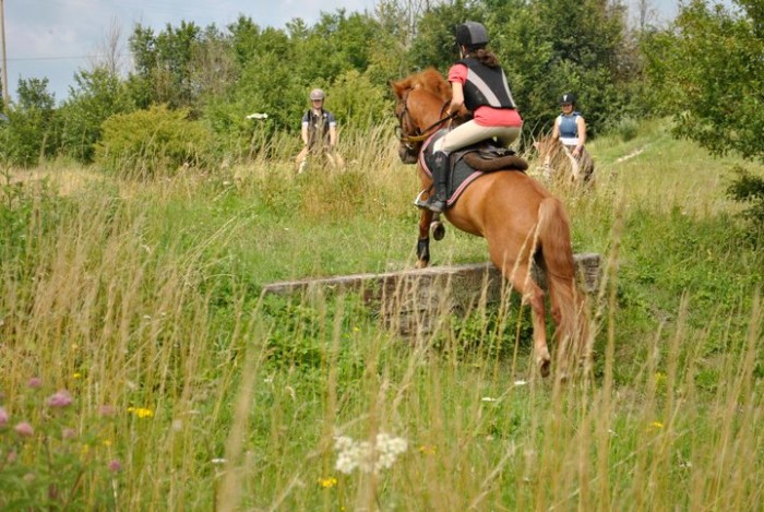 Cross avec Pantoufle