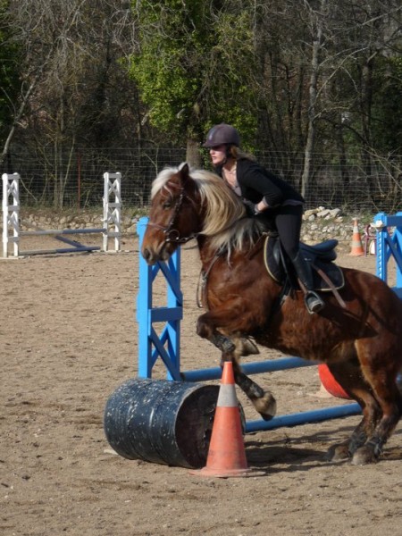 Saut trait jument haflinger croise comptois ! :)