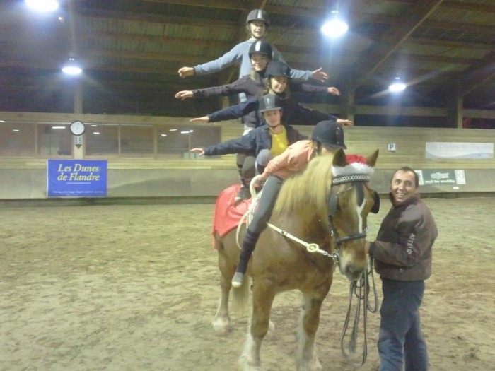 Voltige ( Capucine )