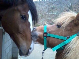 et encore mon doudou aek un copain :p