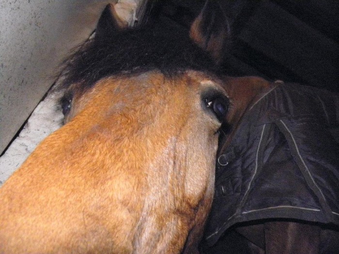 tu es pire qu'un oeuvre d'art.........<3