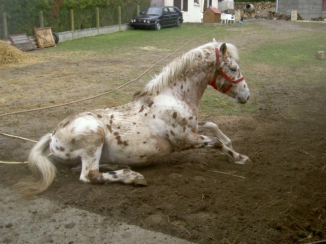 Super de la boue!