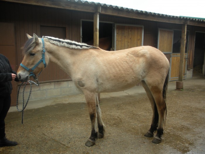 Titoune 4ans