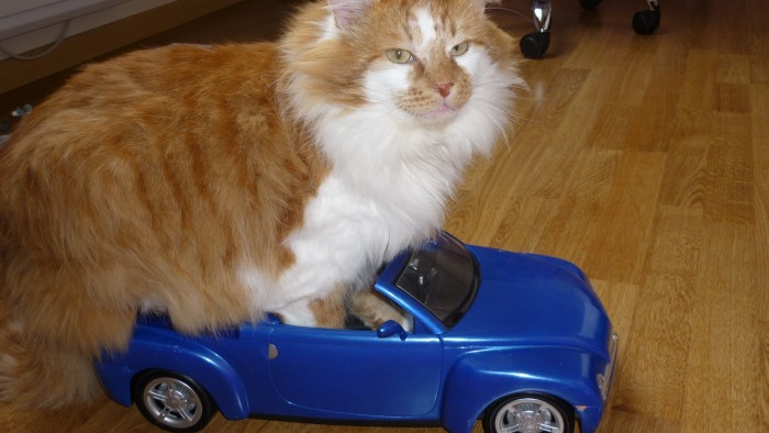 en voiture!!a roule raoule!!