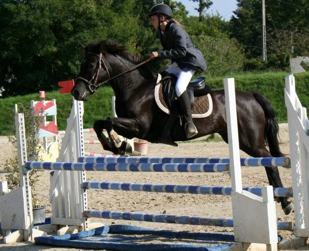 Phebus au boulerie jump.