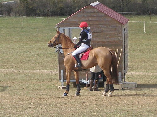 Joie <3 !! My poon's