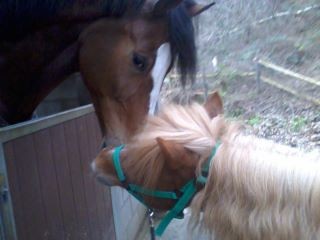 bhen encore aek son copain :P